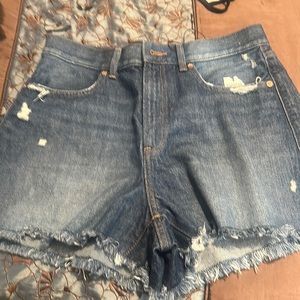 Brand New Express Shorts